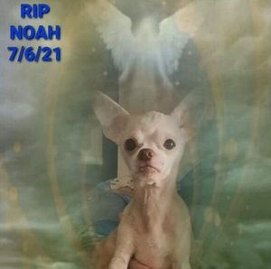 Meet your Posher, Dave